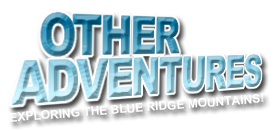 Book Your Zip Line Now!