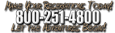 Book Your Zip Line Now!